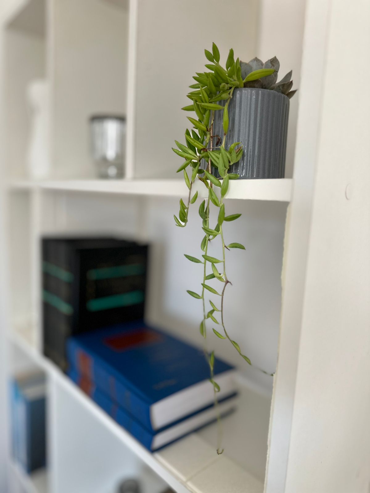 WhatsApp Image 2026-02-03 at 16.00.15